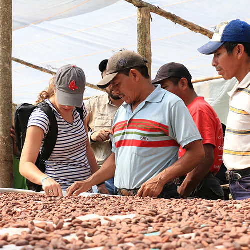 12345_1d69a32d-d083-4708-a9eb-b09172a94edc