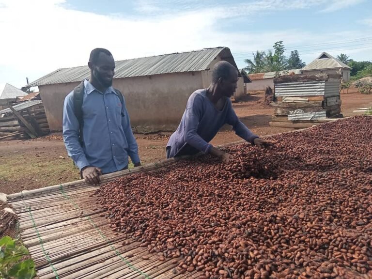 photo_5915670370923430209_y