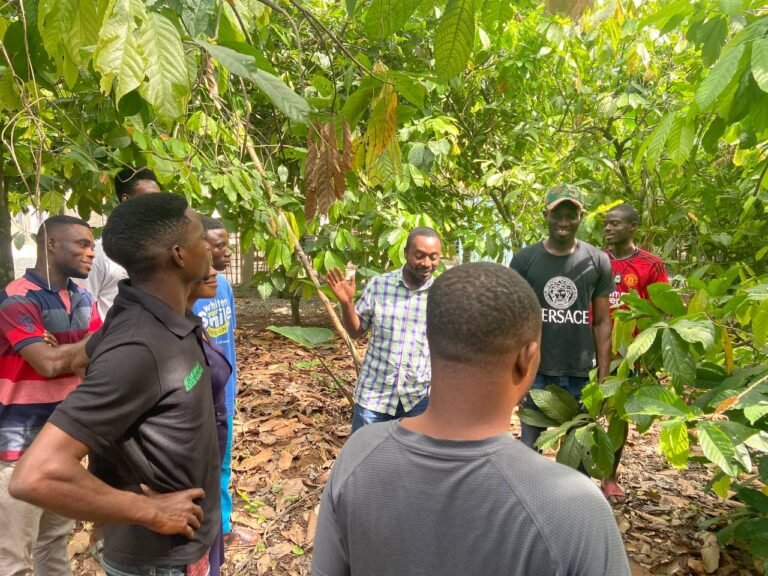 photo_5938027496765242765_y